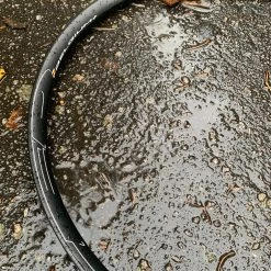 HED Belgium Gravel Disc Rim -Glory Cycles Store Online 48989421627 4d8ab0d885 o 35529.1572495468