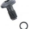 Campagnolo EC-DB004 Master cylinder banjo bolt each