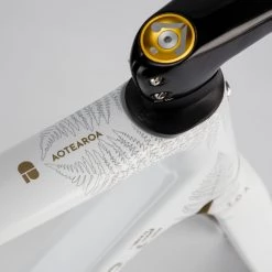 Chapter2 TOA Caitlin Fielder Artist Edition Disc Frameset -Glory Cycles Store Online IMG 6736 60564.1652577236