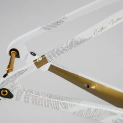 Chapter2 TOA Caitlin Fielder Artist Edition Disc Frameset -Glory Cycles Store Online IMG 6743 07980.1652577229