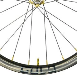 Gulo Composites Gulo Gravel Aero Wheelset -Glory Cycles Store Online Studio Session Gulo5 1431 Edit Edit 41984.1639082818