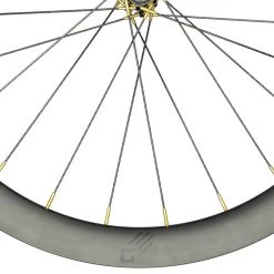 Gulo Composites Gulo Road Aero Wheels -Glory Cycles Store Online Studio Session Gulo5 1729 Edit Edit 50823.1639082470